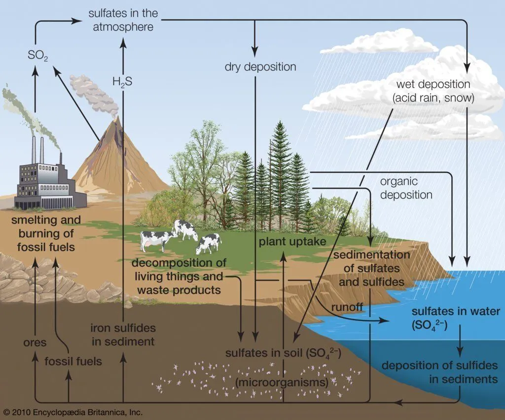 Sulfur Chemical Properties
